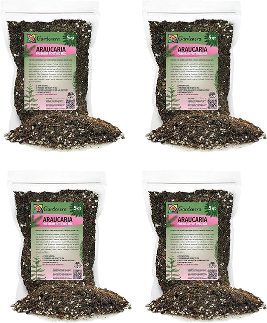 GARDENERA Premium Araucaria Potting Soil Mix - Perfect Balance of Nutrients, Drainage, and Aeration for Healthy Araucaria Trees - 20 Quart