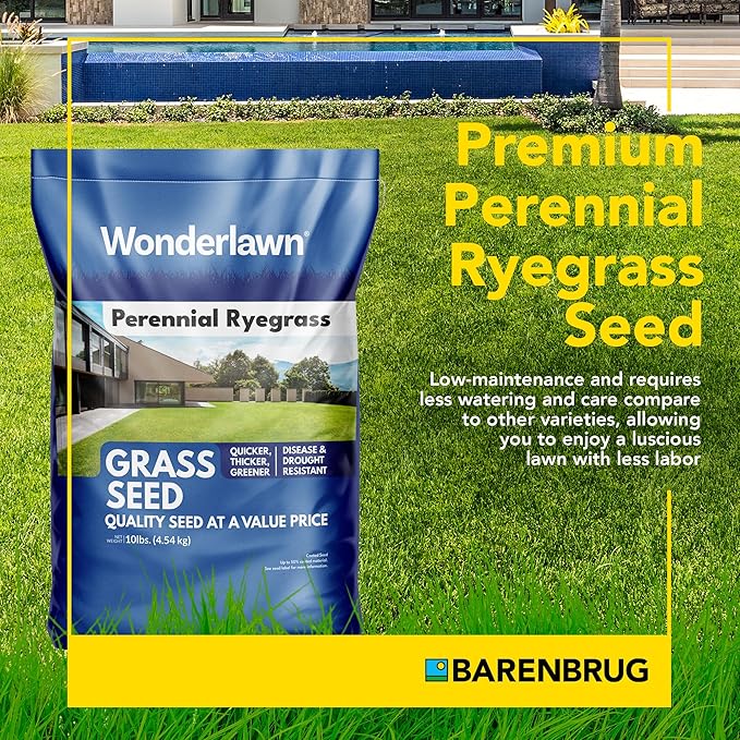 Barenbrug Wonderlawn Perennial Ryegrass Grass Seed for Southern Lawns, Fast-Acting Durable Grass Seed Mix for All Weather Conditions, 10-lb. Bag