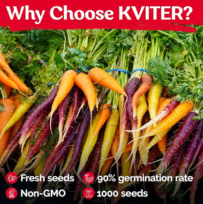 KVITER 1,000 Rainbow Carrot Seeds (Daucus Carota) - Baby Carrots Mix, Sweet & Tender Taste - Heirloom & Organic Carrots Seeds for Planting in Vegetable Garden, Raised Beds & Containers