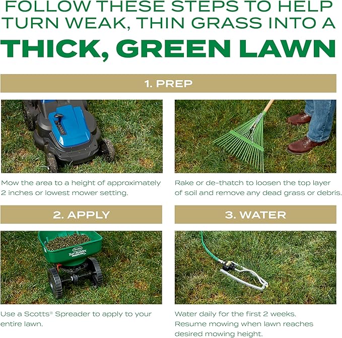 Scotts Turf Builder Thick'R Lawn Southern Gold Blend for Tall Fescue Lawns, Grass Seed, Fertilizer, and Soil Improver, 40 lbs.