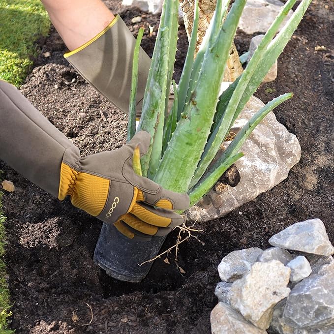 COOLJOB Thorn Proof Rose Pruning Garden Gloves for Women, Long Sleeve Padded Yard Work for Bush, Blackberry, Cactus, Heavy Duty/Puncture Resistant/Machine Washable, Medium, Yellow