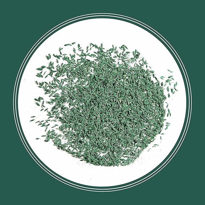 Pennington Smart Seed Sun and Shade Tall Fescue Grass Seed Mix for Southern Lawns 7 lb