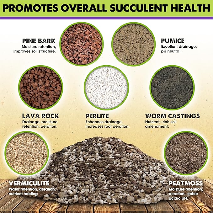 DUSPRO Succulents Soil Potting Mix โ 7 in 1 Ingredients Well-Draining, Nutrient-Rich Cactus Potting Soil for Succulents and Cacti, Indoor & Outdoor Use, Ready to Use, Supports Healthy Root Growth, 2QT