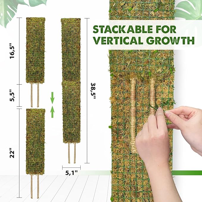 DUSPRO Flat Mesh Moss Poles for Climbing Plants Monstera Stackable Moss Pole for Plants with Real Moss Moss Plant Pole for Potted Plants Handmade Moss Stick for Indoor Plants Grow Upward 2 Pack 22β