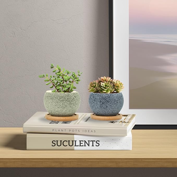 3 inch Ceramic pots for Plants, Small Succulent Pots Set with Drainage, 6 Pack Flower Pot for Indoor Plant, Planters for Little or mini Cactus 2 inches Plants (Green/Black)