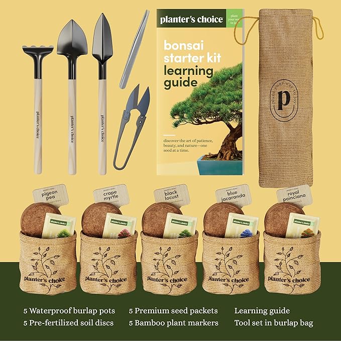 Planter's Choice Bonsai Tree Starter Kit - Unique Gifts for Women, Men - Christmas Gifts for Adults - Indoor Live House Plants - DIY Crafts for Adults Craft Kits - Hobby Gift for Gardening Lovers