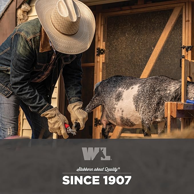 Wells Lamont Leather Work Gloves for Men – Grain Cowhide, Reinforced Palm – Ideal for Construction, Farming, Ranching – Ergonomic Fit, Keystone Thumb, Elasticized Wrist – Beige, Medium (1130M)