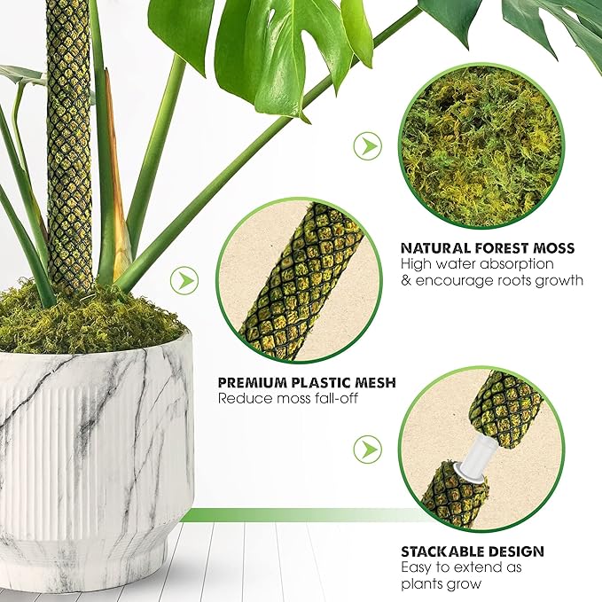 DUSPRO Stackable Mesh Moss Pole for Plants Monstera Potted Plant Stakes for Indoor Plants Extendable Plant Pole Moss Sticks for Plants Climbing Vine Supporting Monstera Trellis 2 Pcs 22''