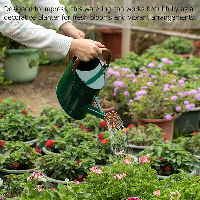 Gardenised 1 Gallon Galvanized Metal Watering Can with Removable Long Spout & Sprinkler Head for Indoor & Outdoor Use Ideal for Garden Flowers Potted Plants Houseplants Modern Home Accessories, Green