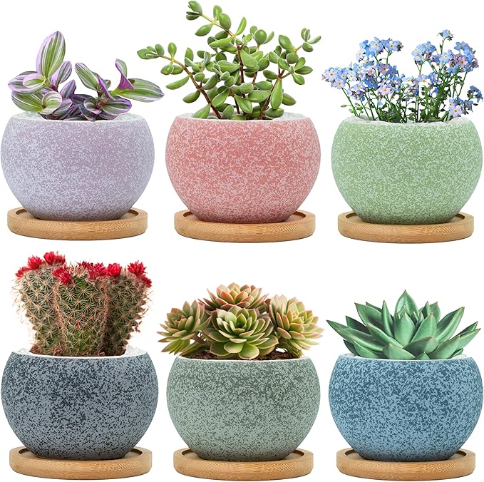 3 inch Ceramic pots for Plants, Small Succulent Pots Set with Drainage, 6 Pack Flower Pot for Indoor Plant, Planters for Little or mini Cactus 2 inches Plants