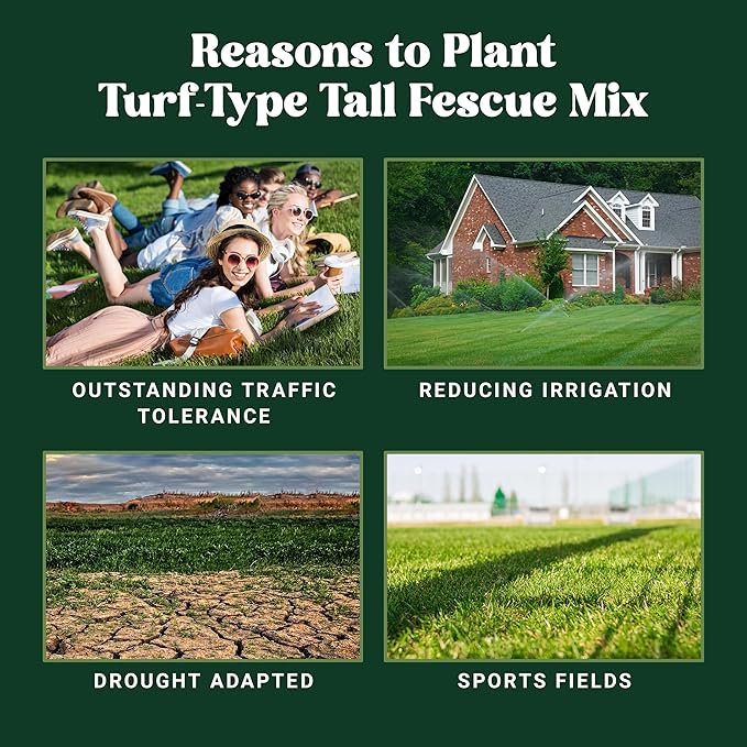 Nature’s Seed Triple-Play Turf Type Tall Fescue Grass Seed Blend, High-Traffic, Heat and Drought Tolerant, for Garden, Lawn, Yard, 5 Lbs