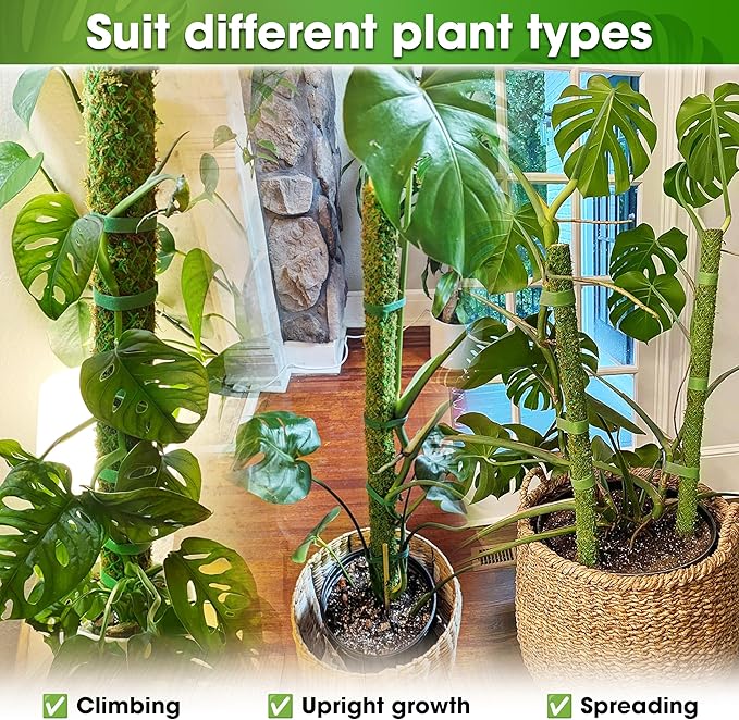 DUSPRO 2 Pack 25ββ Mesh Moss Pole for Climbing Plants, Natural Moss Pole Monstera Plant Support, Real Moss Poles for Plants Indoor, Moss Stick for House Plants, Moss Stakes for Climbing Plants
