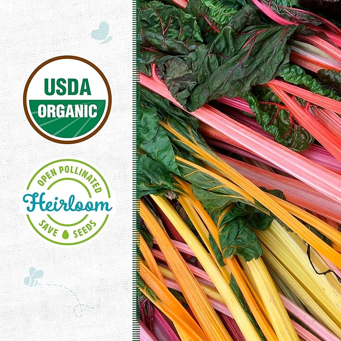 Back to The Roots 100% Organic Heirloom Seeds - Five Color Silverbeet Swiss Chard Value Pack (420mg Total)