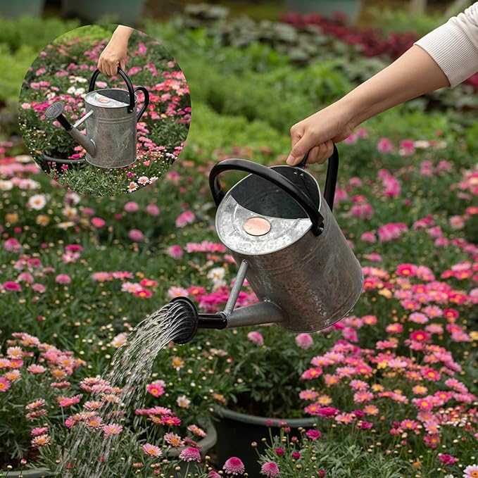 Gardenised 1 Gallon Metal Watering Can with Removable Long Spout & Sprinkler Head for Indoor & Outdoor Use Ideal for Garden Flowers Potted Plants Houseplants Modern Decorative Home Accessories, Silver