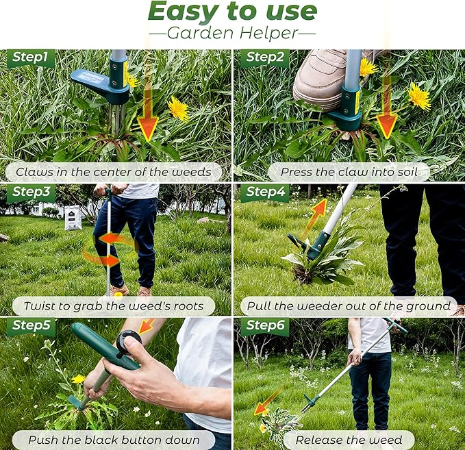 Walensee Weed Puller, Stand Up Weeder Hand Tool, Long Handle Garden Weeding Tool with 3 Claws, Hand Weed Hound Weed Puller for Dandelion, Standup Weed Root Pulling Tool and Picker, Grabber (1 Pack)
