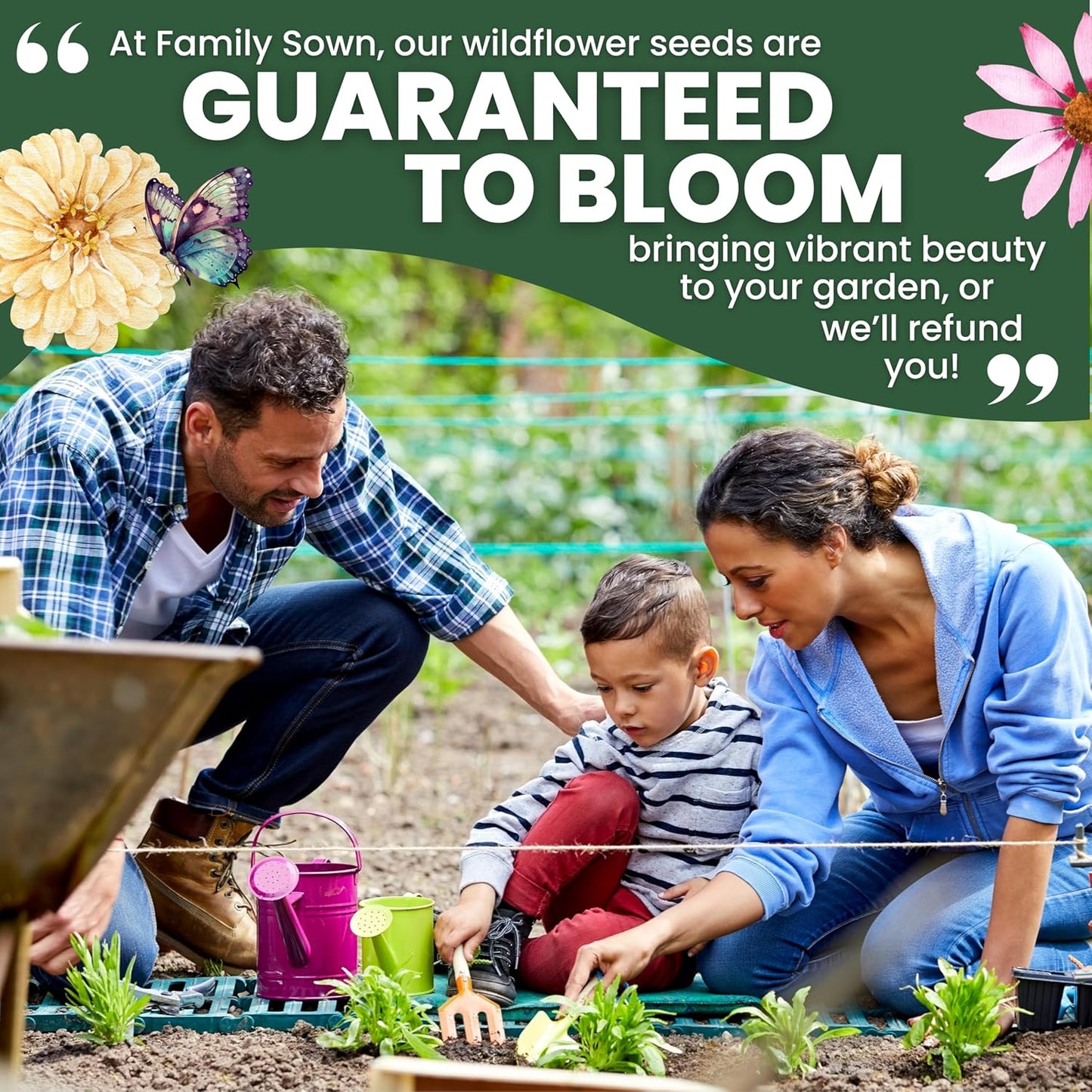 Perennial Species Mix - Bulk 1/4 Pound Pouch - 60,000 Flower Seeds for Planting - Wildflower Mix