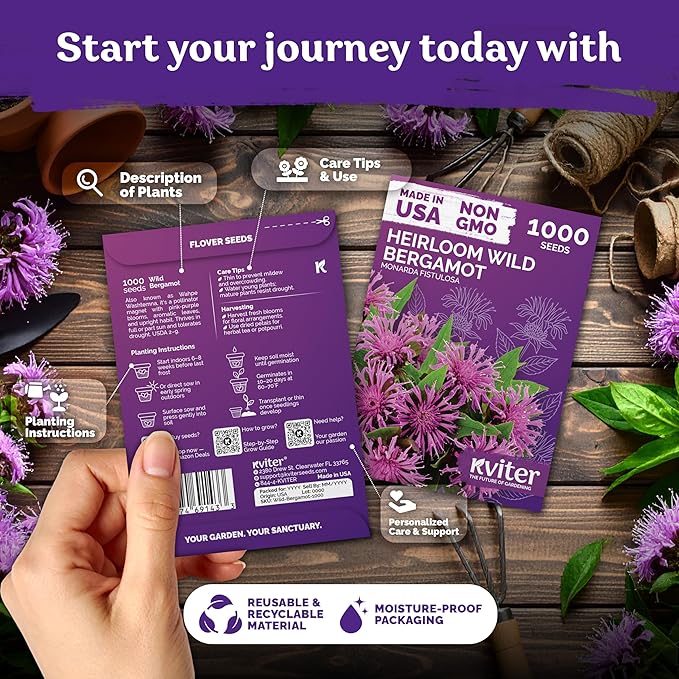 KVITER 1,000 Wild Bergamot Seeds for Planting (Monarda fistulosa) – Bee Balm Native Wildflower, Pollinator Magnet, Organic & Non GMO – Perennial Flower Seeds to Plant Outside in Flower/Herb Garden