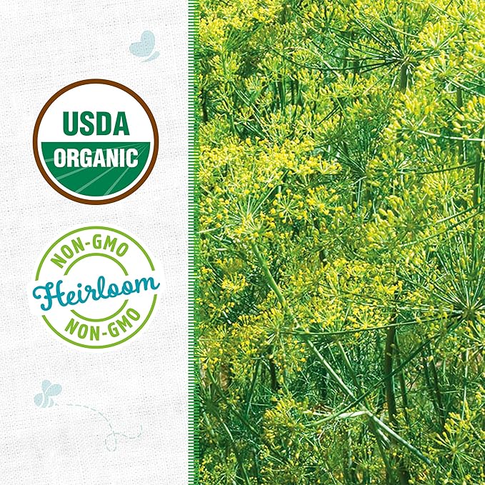 Back to The Roots 100% Organic Heirloom Seeds - Dill Herb Value Pack (2g Total)