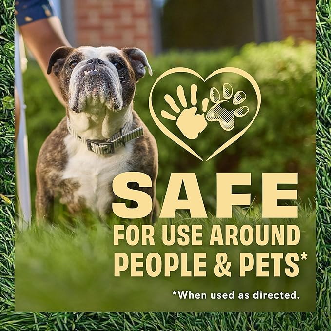 O.M. Scott and Sons Clover Seed, Lawn Seed Grows a Naturally Low Maintenance, Drought-Tolerant Lawn, 1,000 sq. ft., 2 lb.