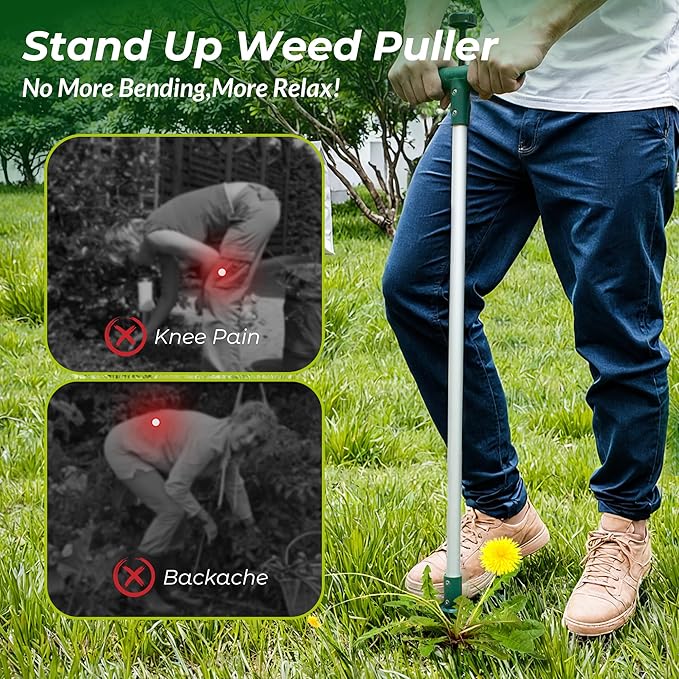 Walensee Weed Puller, Stand Up Weeder Hand Tool, Long Handle Garden Weeding Tool with 3 Claws, Hand Weed Hound Weed Puller for Dandelion, Standup Weed Root Pulling Tool and Picker, Grabber (1 Pack)