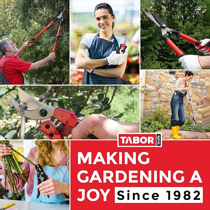 TABOR TOOLS GG21A Extendable Bypass Lopper with Compound Action, 27-40 Inch Telescopic Tree Trimmer, Long Handled Branch Cutter with ⌀ 1 1/2 Inch Cut Capacity, Makes Clean Neat Cuts.