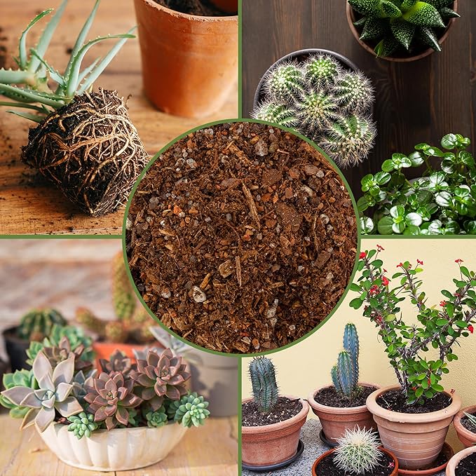 Cactus and Succulent Potting Mix (2 Quarts), Special Blend-Fast Draining and Desert-Style Gritty