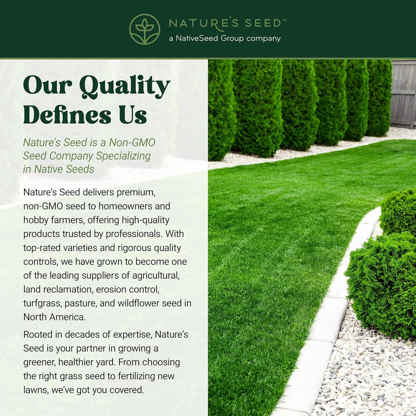 Nature’s Seed TWCA Water-Wise Blue Ribbon Mix, Kentucky Bluegrass and Perennial Ryegrass Grass Seed Blend, High-Traffic, Shade Tolerant, for Garden, Lawn, Yard, 5 lbs