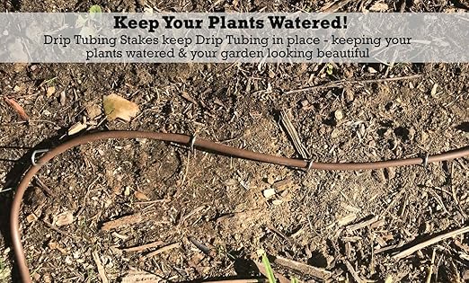 Sandbaggy DRIP TUBING Stakes Landscape Staples | 5 inch Length | Drip Anchors | Landscape Pins | Lawn Nails | Garden Stakes | Hold Drip Tubing Up to 1/4" Diameter | 14-Gauge Standard | Pack of 100