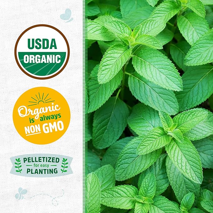 Back to The Roots 100% Organic Heirloom Seeds - Spearmint Value Pack (250mg Total)