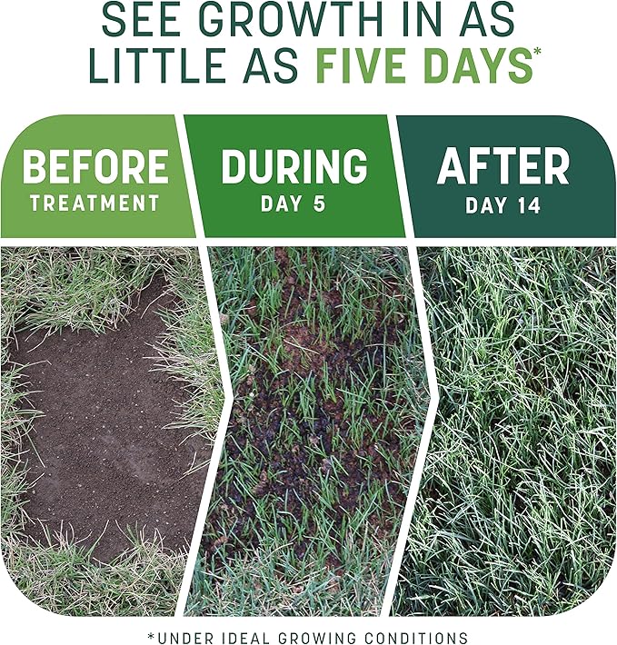 Penn Smart Patch S&S N