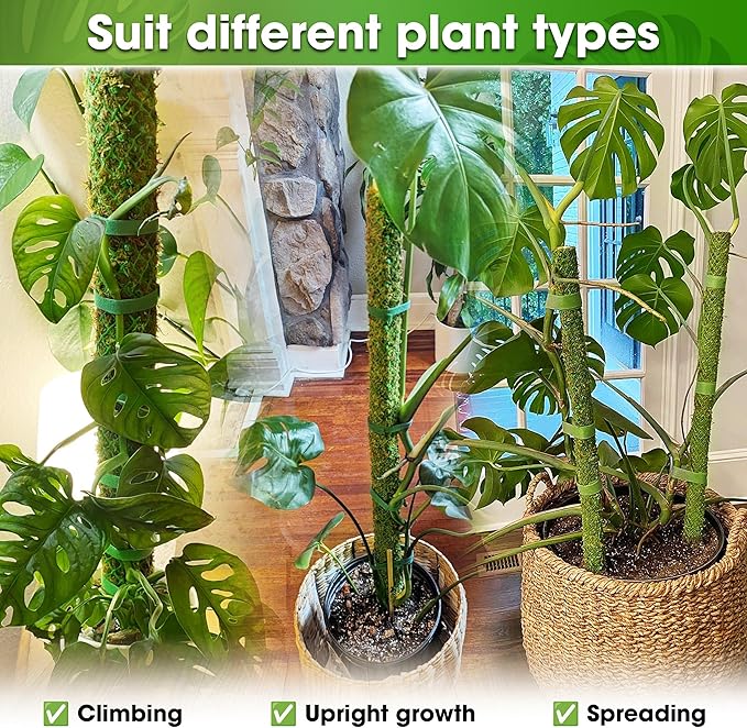 DUSPRO 42ββ Mesh Moss Pole for Climbing Plants, Natural Moss Pole Monstera Plant Support, Real Moss Poles for Plants Indoor, Moss Stick for House Plants, Moss Stakes for Climbing Plants