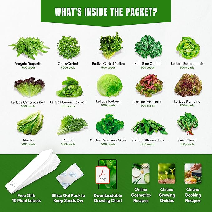 15 Lettuce & Salad Greens Seeds Variety Pack Lettuce Garden Salad Kit with Plant Labels 7300+ Non-GMO Heirloom Arugula Spinach Kale Iceberg Lettuce Seeds for Planting Outdoors Indoors