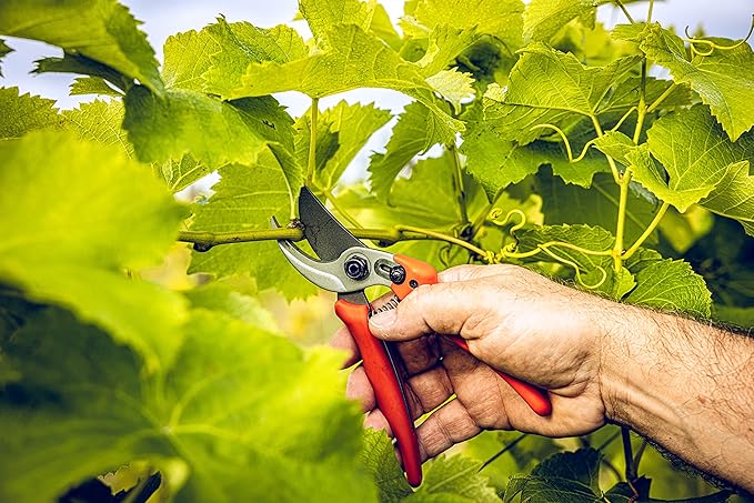 Original LÖWE Bypass Pruner Garden Tools 14.104 | Use as Pruners, Hedge Trimmer, Garden Shears, Pruning Shears for Gardening | For cutting roses, twigs, branches, and cut flowers | Made in Germany