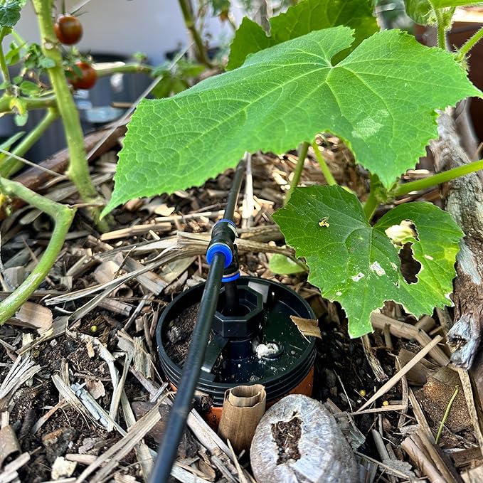 Thirsty Earth: CottaCup Automatic Olla Watering System for Your Garden (6 Cup Kit)