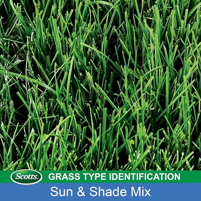 Scotts Turf Builder Grass Seed Sun & Shade Mix, Grows in Extreme Conditions & Spreads for a Durable Lawn, 15 lbs.