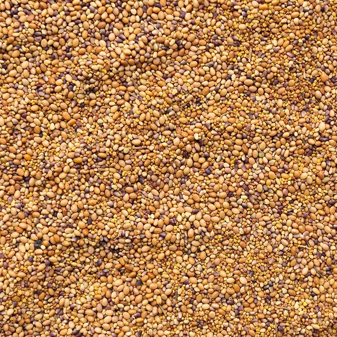 Clover Trio Seed Blend โ Premium 5 Lb Bulk ~896,000 Seeds โ Red, White & Crimson Clover โ Cover Crop & Soil Enrichment Mix