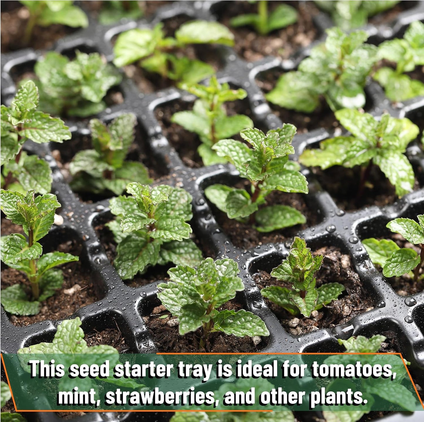 Mr. Pen- Seed Starter Tray Kit, 5 Pack, Black, Total 350-Cells, Seed Starter Kit with Humidity Domes