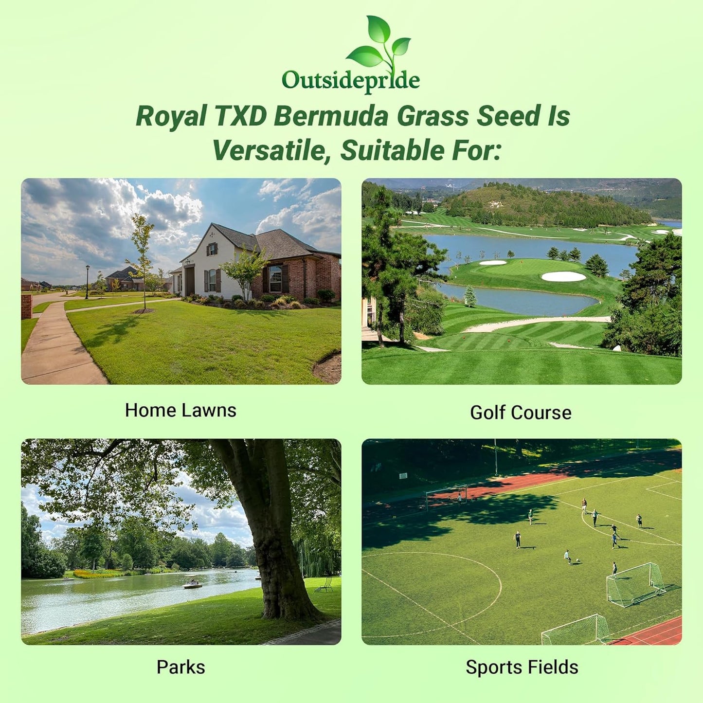 Outsidepride Royal TXD Bermuda Grass Seed Blend - 5 lbs. Warm Season, Fast Growing Turf Grass Seeds: Heat & Drought Tolerant, Ideal for Home Lawns & Sports Fields, Dense & Lush Green Coverage