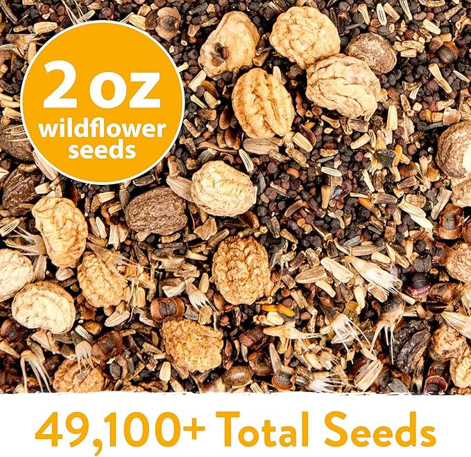 HOME GROWN π¨π¦π π£π₯ππ ππ¨π  Wildflower Seeds Mix - 49,100+ (2oz) Bulk Mix, 21 Varieties Wild Flower - Bee and Butterfly Garden Pack - Native Annual Flowers for Planting for Your Garden