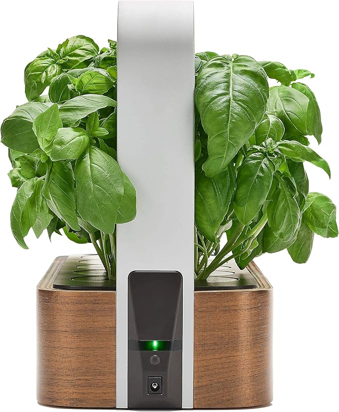 EDN SmallGarden with Basil SeedPods, Indoor Grow Smart Garden for iOS Devices - Fresh Home Grown Herbs, Plants and Flowers - Grow up to 10 Different Plants at Once