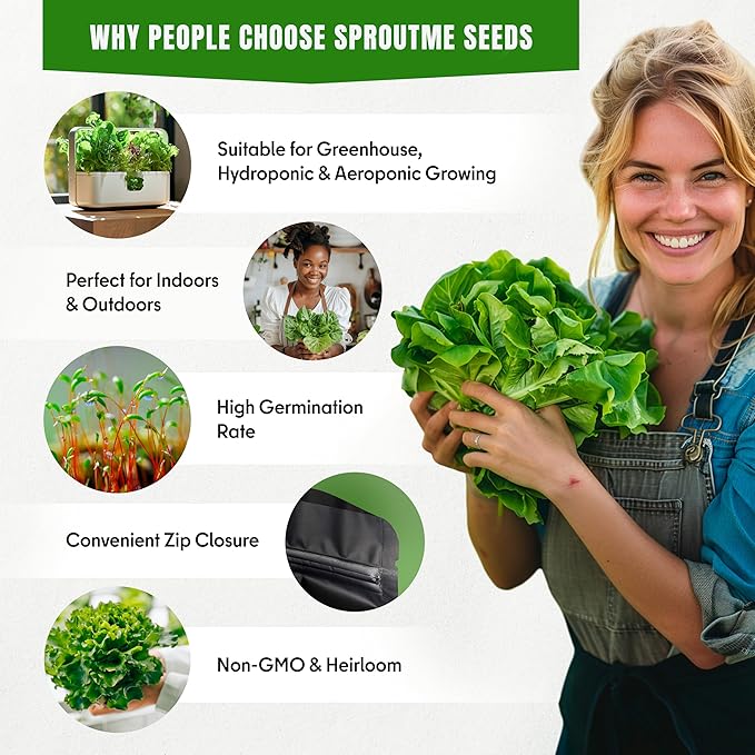 15 Lettuce & Salad Greens Seeds Variety Pack Lettuce Garden Salad Kit with Plant Labels 7300+ Non-GMO Heirloom Arugula Spinach Kale Iceberg Lettuce Seeds for Planting Outdoors Indoors