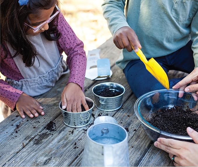 BUZZY Seeds Sage Green Painted Basin Strawberry Grow Kit, Indoor Fruit Plant Starter for Kids and Adults, Fun DIY Gardening Gift, Grow Your Own Snack, Party Favor or Holiday Present