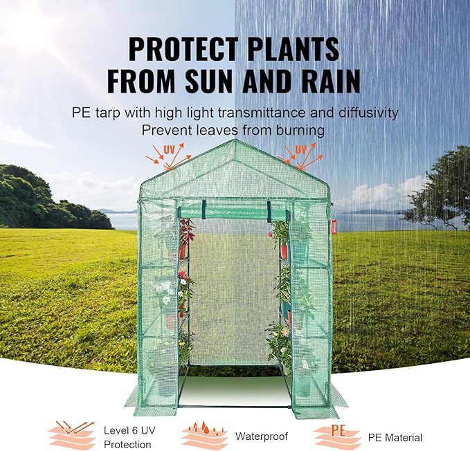 VEVOR Walk-in Green House, 55.5 x 29.3 x 80.7 inch, Portable Greenhouse with Shelves, High Strength PE Cover with Roll-up Zipper Door and Steel Frame, Set Up in Minutes, for Planting and Storage