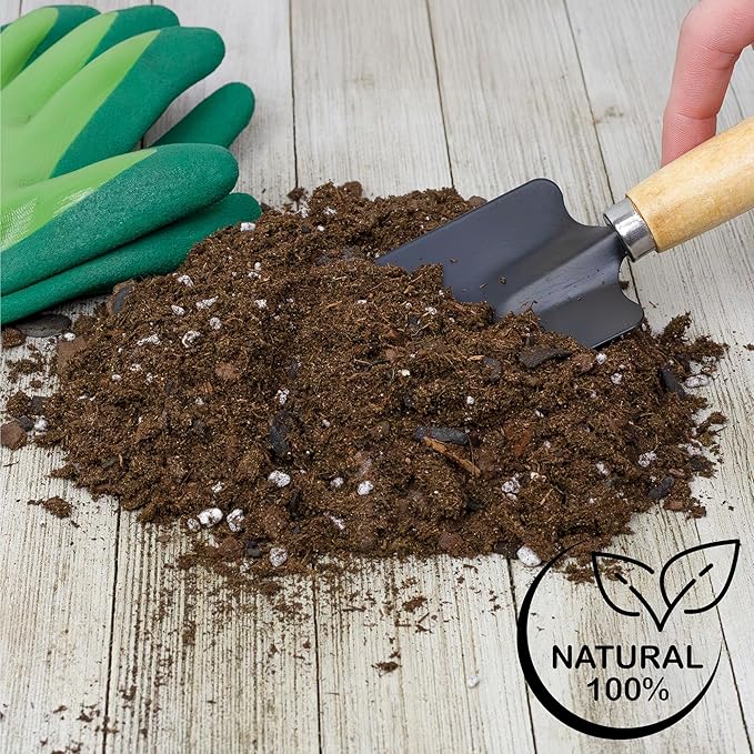 Christmas Cactus Potting Soil Mix (4 Quarts), Custom Blend for Xmas, Easter, and Thanksgiving Cactus Tropical Indoor Houseplants