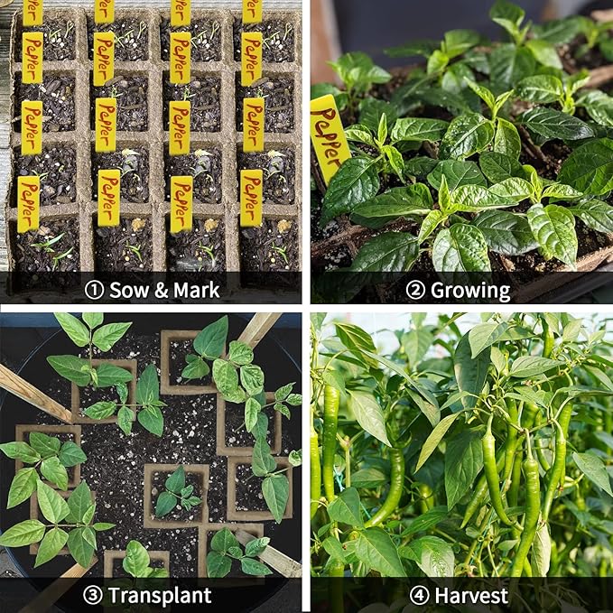 640Cells Seedling Start Trays,40 Pack Peat Pots Seedling Pots Biodegradable,Seedling Starter Kit,Organic Germination Plant Starter Trays