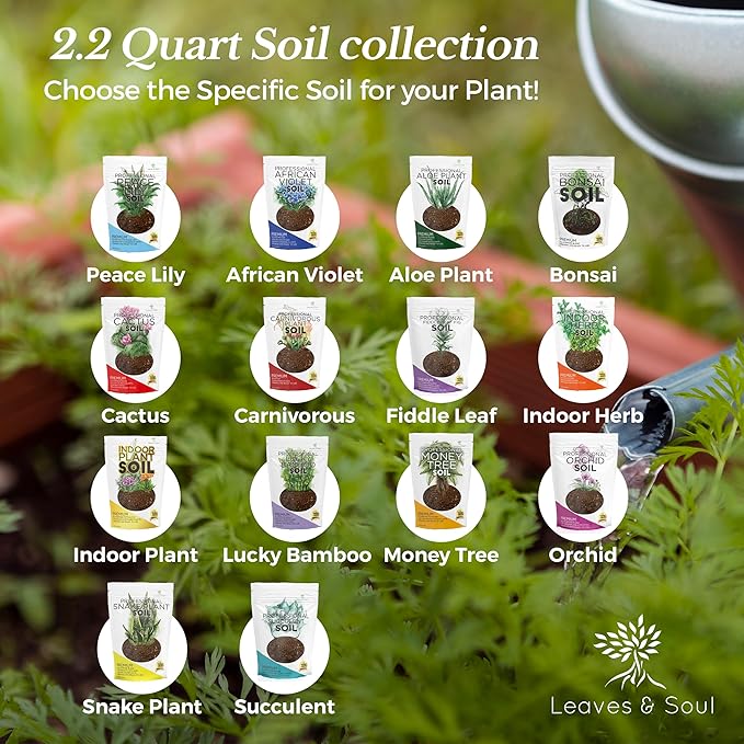 Professional Lucky Bamboo Soil | Large 2.2 Quarts Ready to Use for Lucky Bamboo Plants | Peat Moss, Coco Coir, Perlite, Dolomite | Made in USA