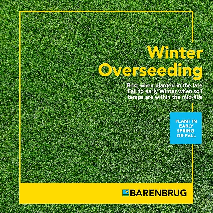 Barenbrug Wonderlawn Perennial Ryegrass Grass Seed for Southern Lawns, Fast-Acting Durable Grass Seed Mix for All Weather Conditions, 10-lb. Bag