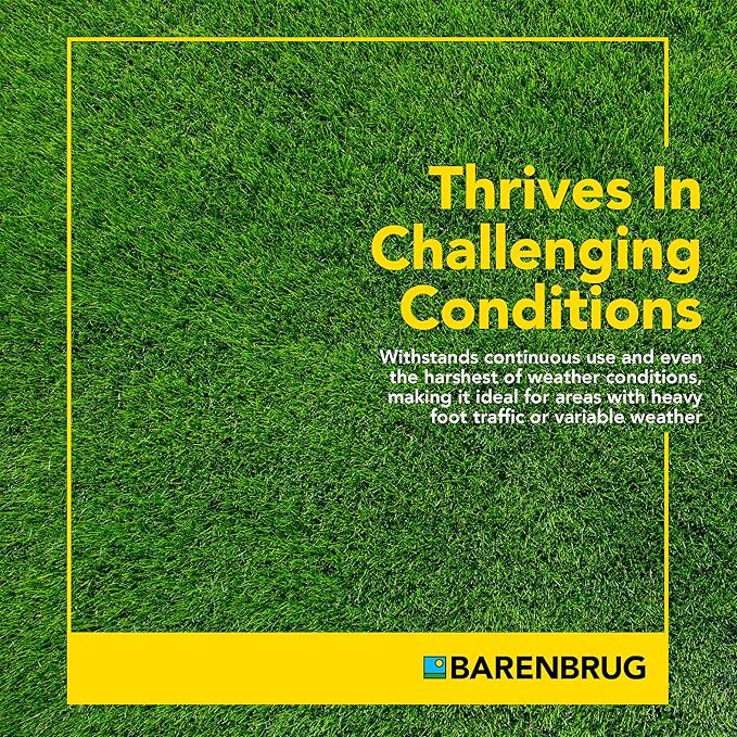 Barenbrug Winter Wonderlawn Grass Seed for Southern Lawns, Fast-Acting Durable Grass Seed Mix for All Weather Conditions, 25-lb. Bag