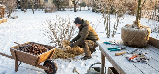 Winter Garden Care: Essential Tips to Protect Your Backyard Oasis
