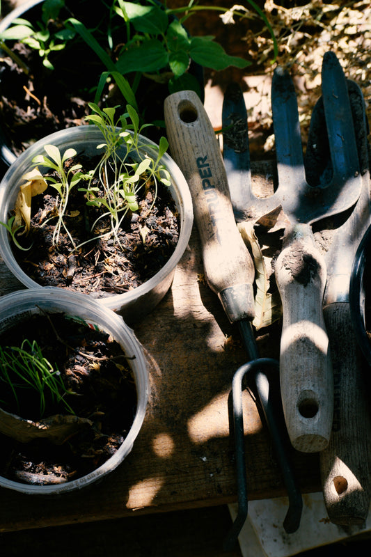 “Before You Plant a Seed, Here's What You Actually Need” — A Beginner Gardener's Checklist